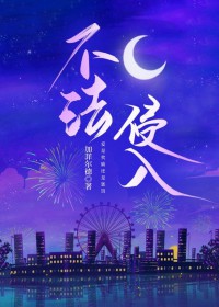 不法侵入 攻略