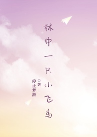 林中惊飞鸟诗句