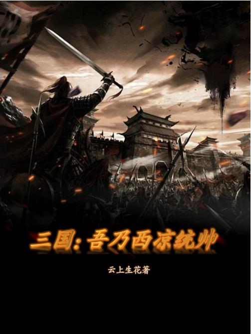 吾乃西凉统帅小说