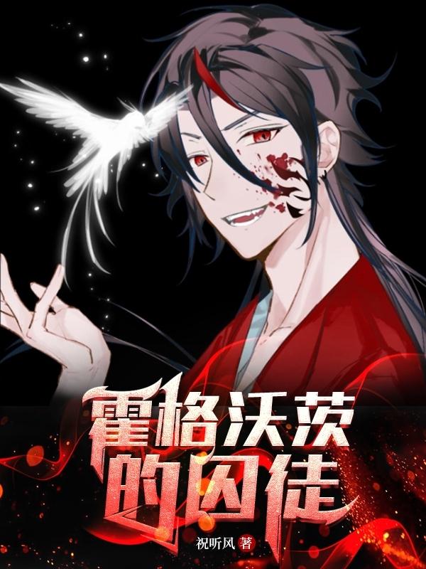 霍格沃茨的风与鹰翼小说