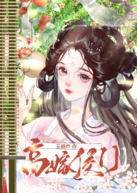 高嫁侯门小说简介