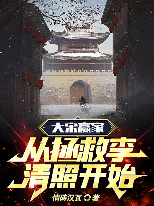 拯救大宋的小说
