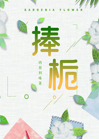 彭志辉简历