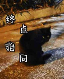 首尾相连指向终点