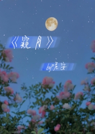 窥月下寒山