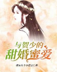 贺少的闪婚暖妻小说原名