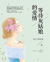 《等待灰姑娘的爱情》小说阅读