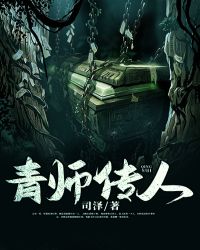 地师传人免费版