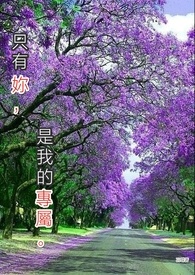 只有你是我的解药歌词图片