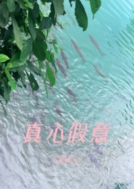 真心或假意的说说