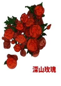 山上的玫瑰花能吃吗